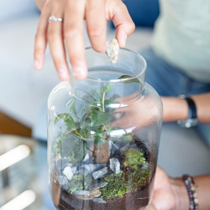 Kobieta przegotowuje las w szkle  